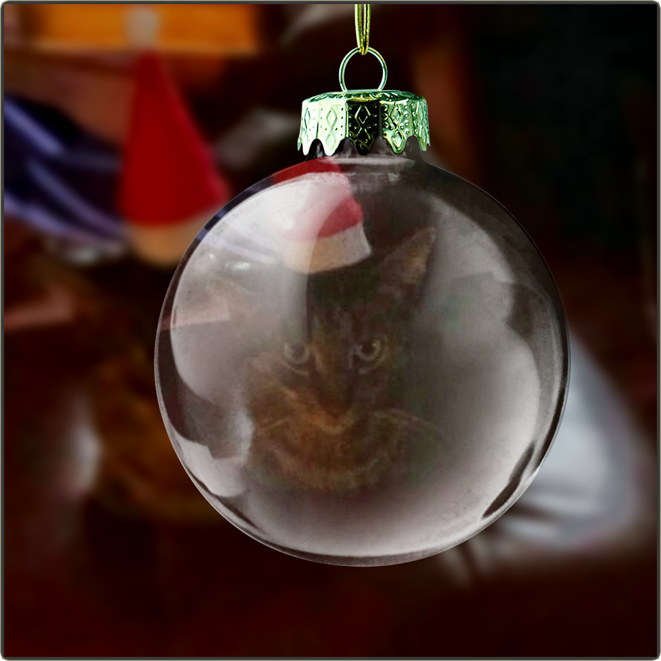 Herzliche Weihnachstgrüsse aus Meerforellenparadies Dänemark